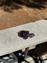 Load image into Gallery viewer, Amethyst Phantom Turtle 40X