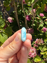 Load image into Gallery viewer, Larimar cab