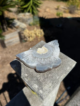 Load image into Gallery viewer, Agate Butterfly 26RL