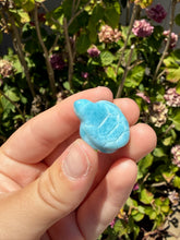 Load image into Gallery viewer, Larimar Turtle 60PK