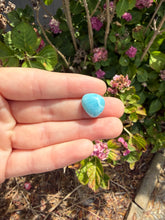 Load image into Gallery viewer, Larimar cab
