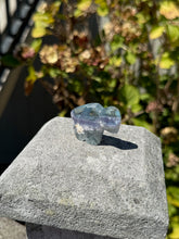 Load image into Gallery viewer, Blue Fluorite Mine Bear 40VO