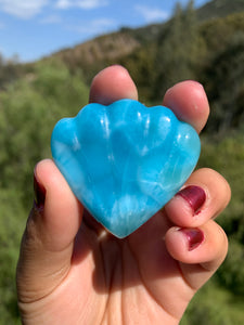Larimar Shell