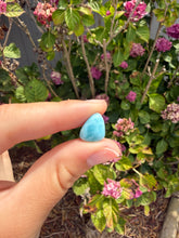 Load image into Gallery viewer, Larimar cab