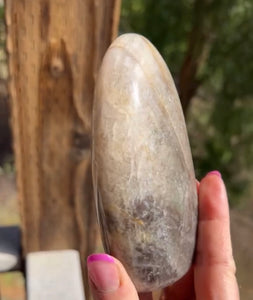 Double Sided sheen chocolate moonstone