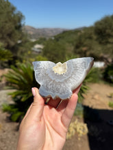 Load image into Gallery viewer, Agate Butterfly 26RL