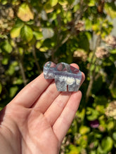 Load image into Gallery viewer, Blue Fluorite Mine Bear 40VO