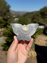 Load image into Gallery viewer, Agate Butterfly 26RL