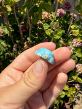 Load image into Gallery viewer, Larimar Turtle 60PK
