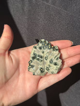 Load image into Gallery viewer, Ocean Jasper Leaf 50HJT