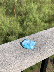 Larimar Cat