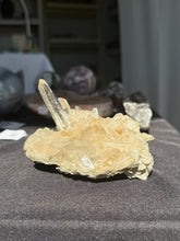 Load image into Gallery viewer, Himalayan Quartz Cluster Standing 100HX