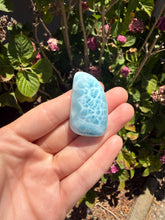 Load image into Gallery viewer, Larimar cab