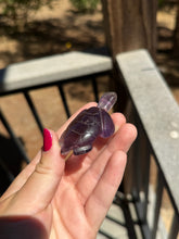 Load image into Gallery viewer, Amethyst Phantom Turtle 40X