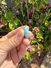 Load image into Gallery viewer, Larimar cab
