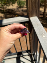 Load image into Gallery viewer, Amethyst Phantom Turtle 40X