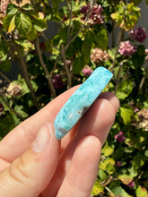 Load image into Gallery viewer, Larimar Turtle 100TU