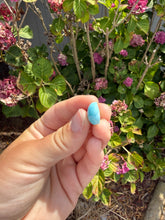 Load image into Gallery viewer, Larimar cab