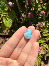 Load image into Gallery viewer, Larimar cab