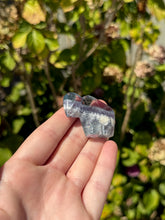 Load image into Gallery viewer, Blue Fluorite Mine Bear 40VO