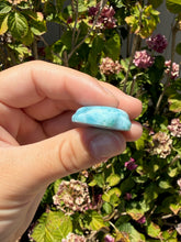 Load image into Gallery viewer, Larimar Turtle 100TU