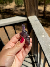 Load image into Gallery viewer, Amethyst Phantom Turtle 40X