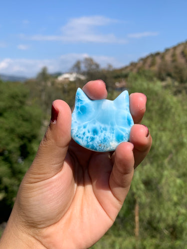 Larimar Cat