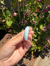 Load image into Gallery viewer, Larimar cab