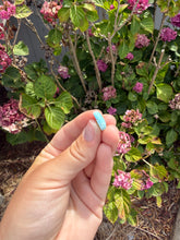 Load image into Gallery viewer, Larimar cab