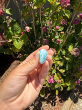 Load image into Gallery viewer, Larimar cab