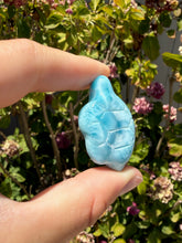 Load image into Gallery viewer, Larimar Turtle 100TU