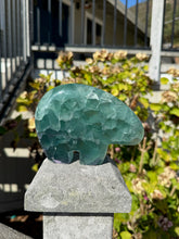 Load image into Gallery viewer, Blue Fluorite Bear 300VG