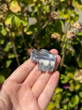 Load image into Gallery viewer, Blue Fluorite Mine Bear 40VO