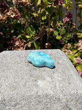 Load image into Gallery viewer, Larimar Turtle 100TU