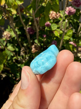 Load image into Gallery viewer, Larimar Turtle 60PK