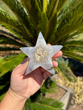 Load image into Gallery viewer, Agate Star 25LL