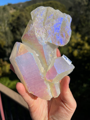 Aura Elestial Plate