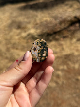 Load image into Gallery viewer, Ocean Jasper Intuitively Selected 14AF