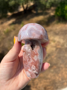 Pink Amethyst Mushroom