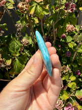 Load image into Gallery viewer, Larimar Cab 192E