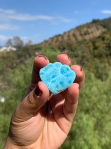 Larimar Shell