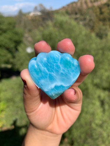Reserved Larimar Shell 5/8