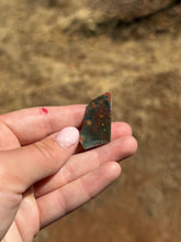 Load image into Gallery viewer, Ocean Jasper Intuitively Selected 14AF