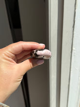 Load image into Gallery viewer, Rhodonite Palm Stone 24LE