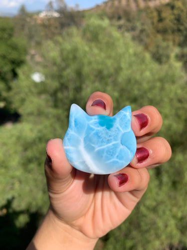 Larimar Cat