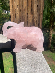 Rose Quartz Elephant