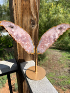 Pink Amethyst Butterfly Wings with Custom Stand **