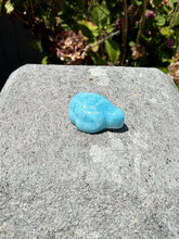 Load image into Gallery viewer, Larimar Turtle 60PK