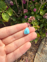 Load image into Gallery viewer, Larimar cab