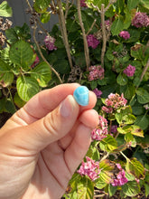 Load image into Gallery viewer, Larimar cab